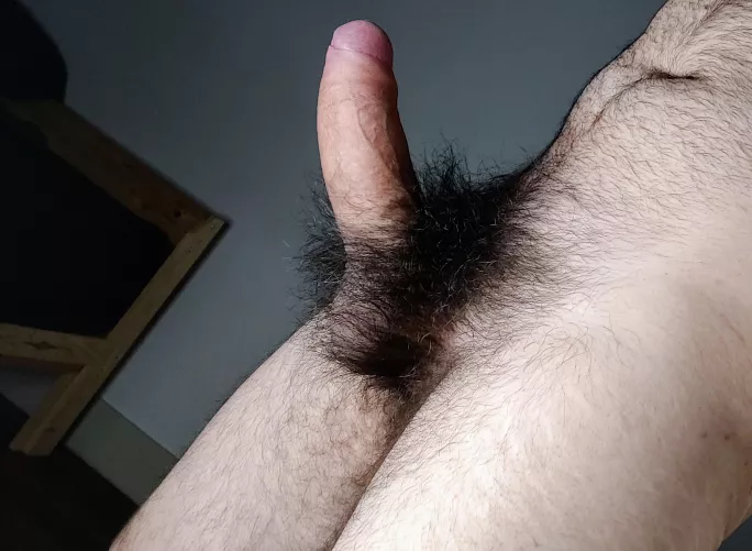 What part of my cock would you sniff first?