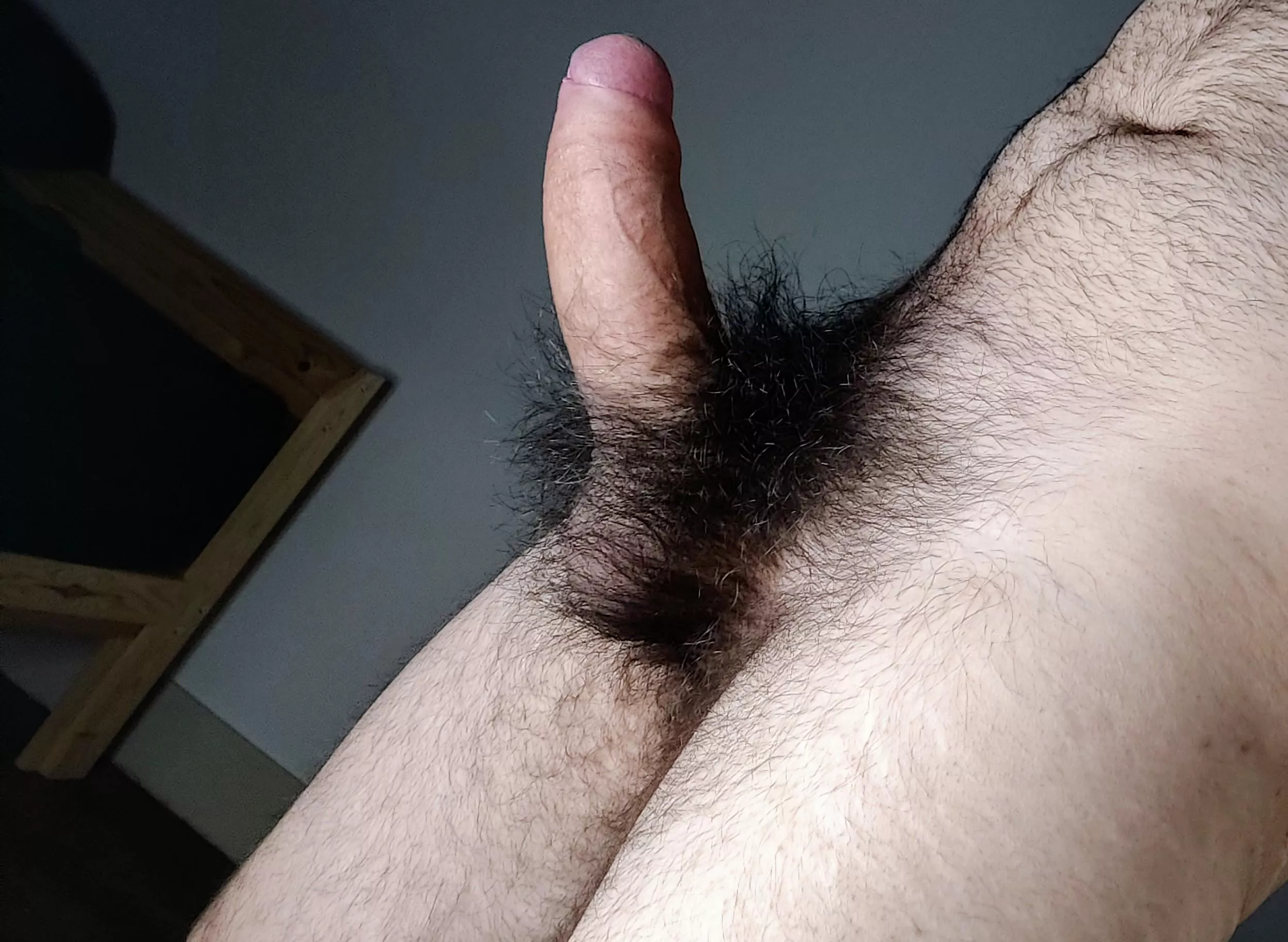 What part of my cock would you sniff first?