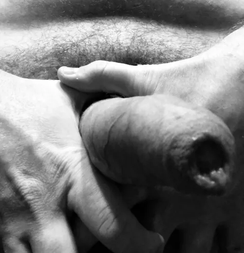 Which one of you wants the honor to get it hard? And Who gets the first creampie?