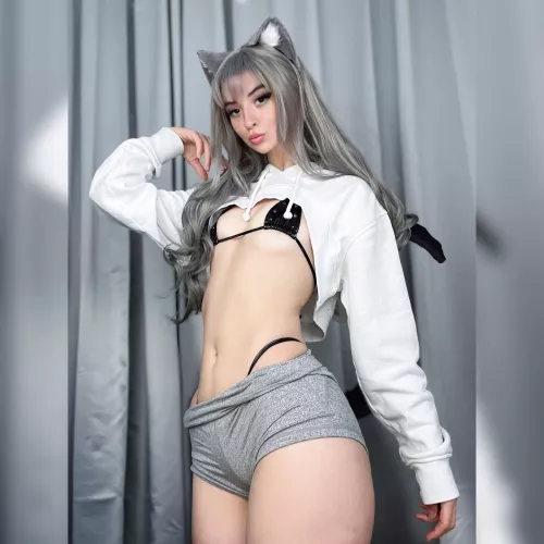 looking for an owner