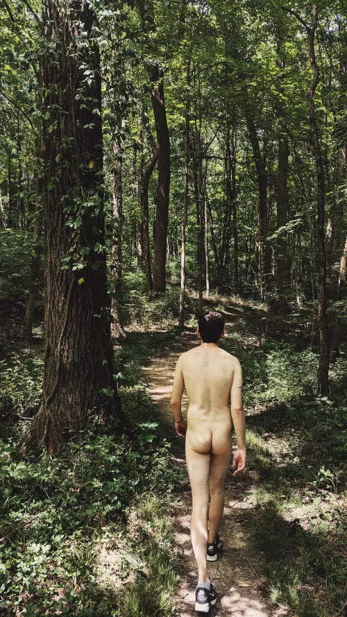 Perfect day for a stroll through the woods 🌲