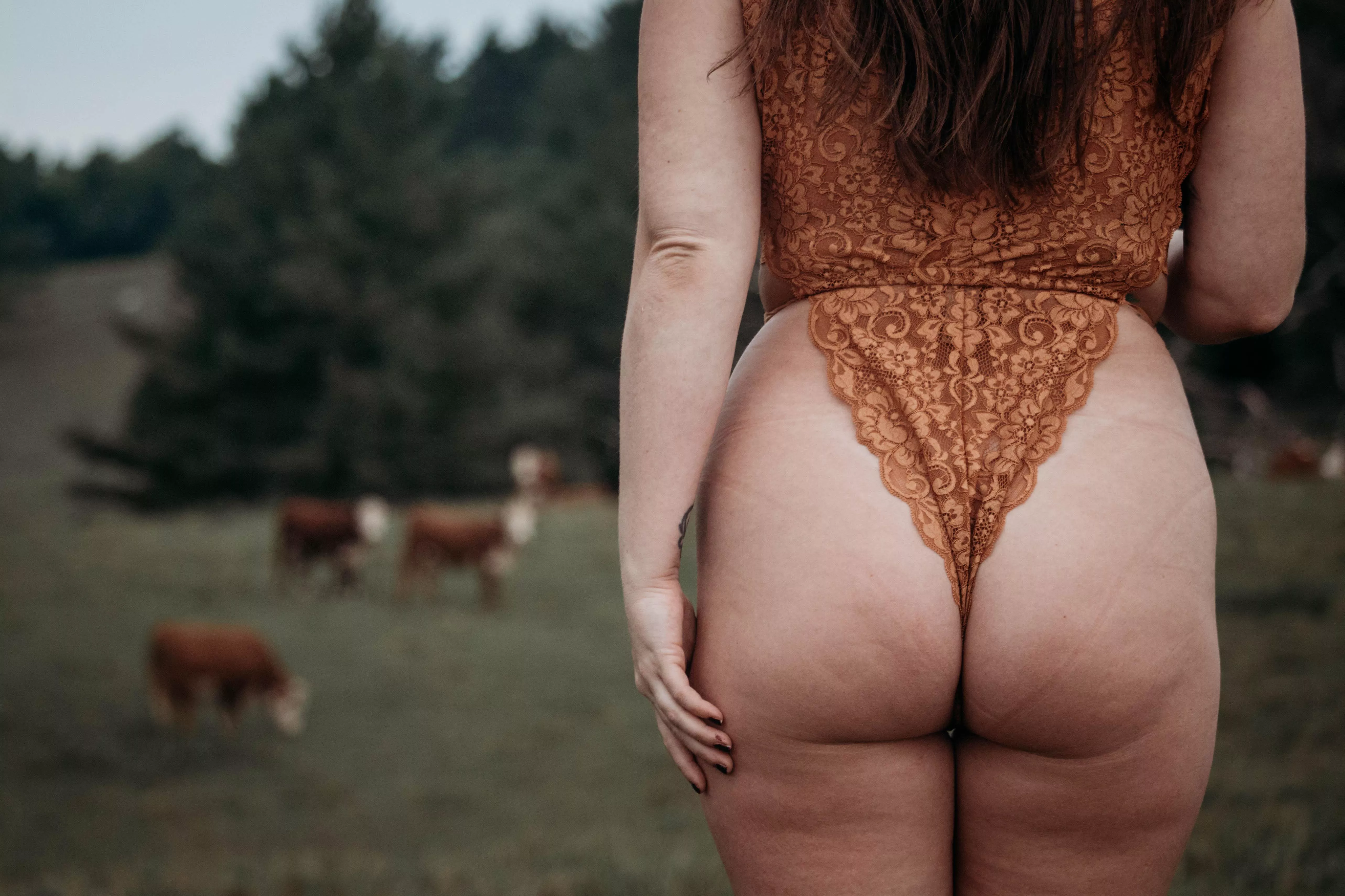 Shout out to the cows who let me borrow their pasture