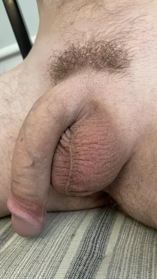 Stay Safe this Holiday