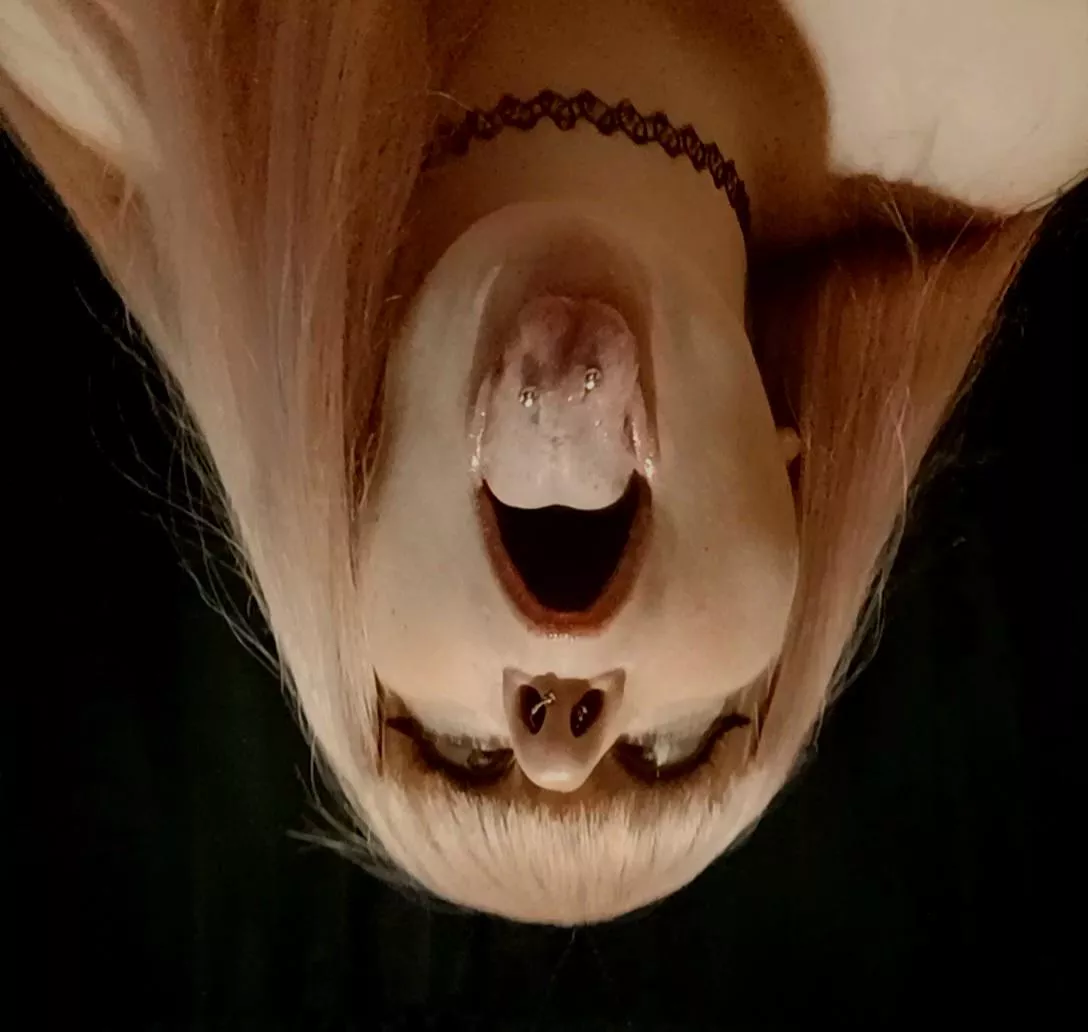 👅 tongue out for Tuesdays 👅