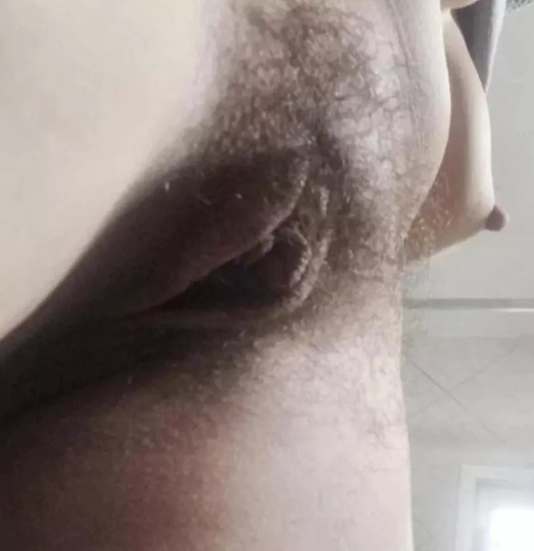 Wet, excited and hairy