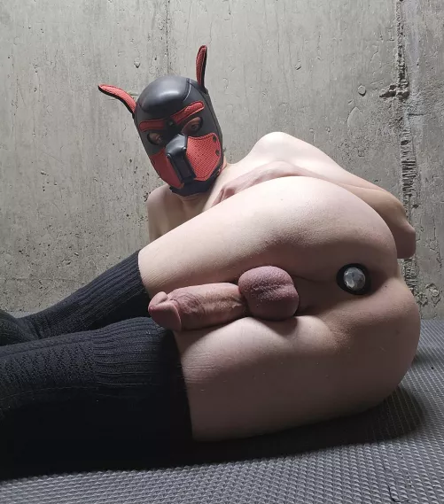 Your choice, Bone or hole?