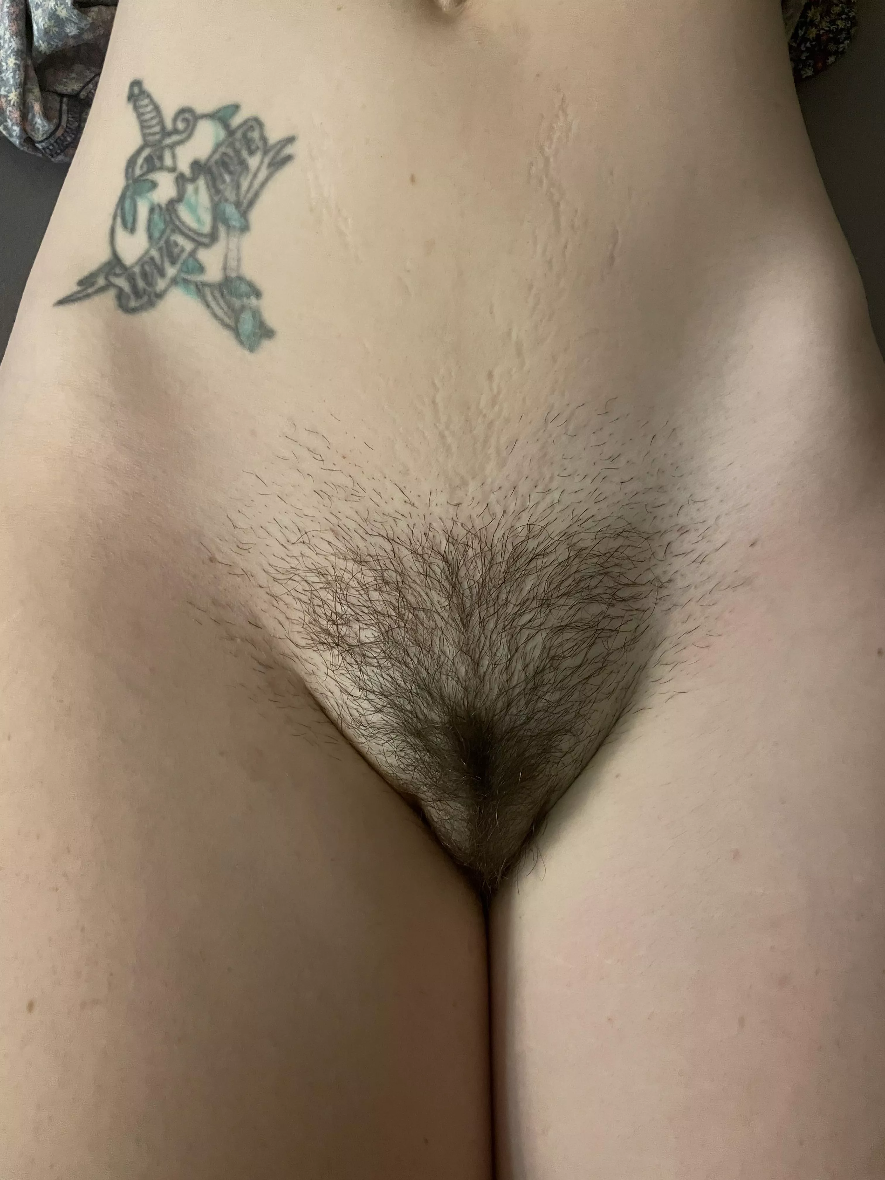 Do you love bush pussy