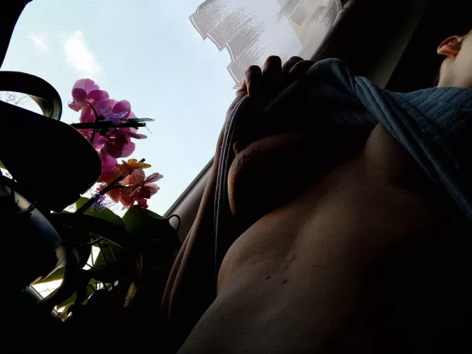 Morning with my flowers