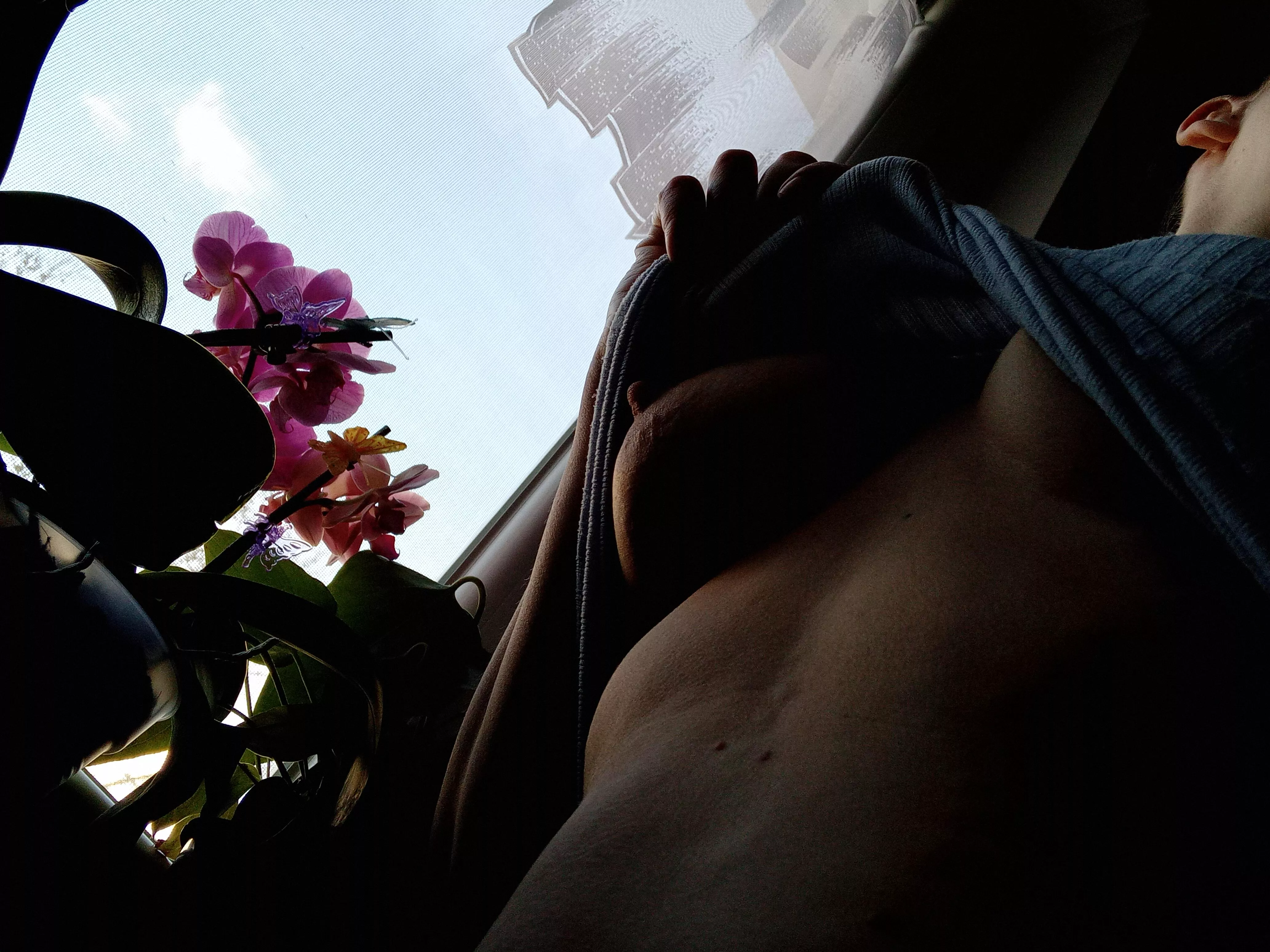 Morning with my flowers