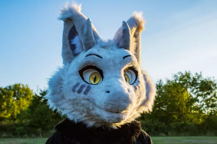 Obsidian the snep dragon! 