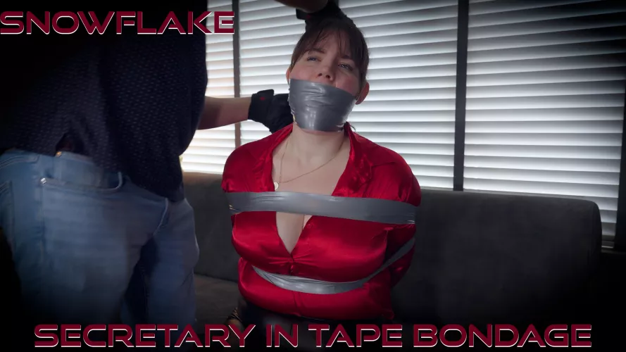 Snowflake - Secretary Captured
