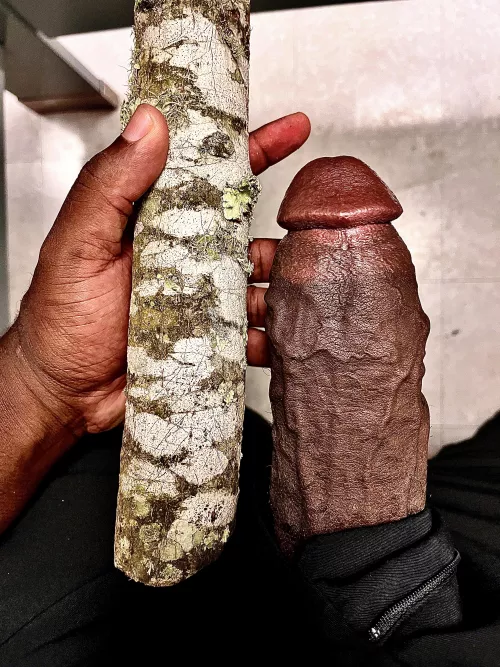 Thicker than a tree trunk 😵‍💫