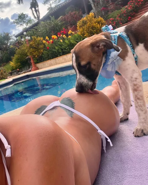 Want to be that puppy so bad 