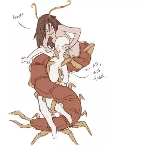 Centipedes sure are curious…. And hungry