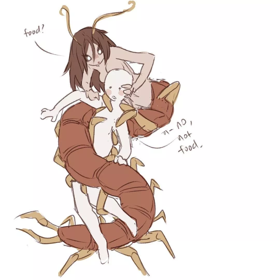 Centipedes sure are curious…. And hungry