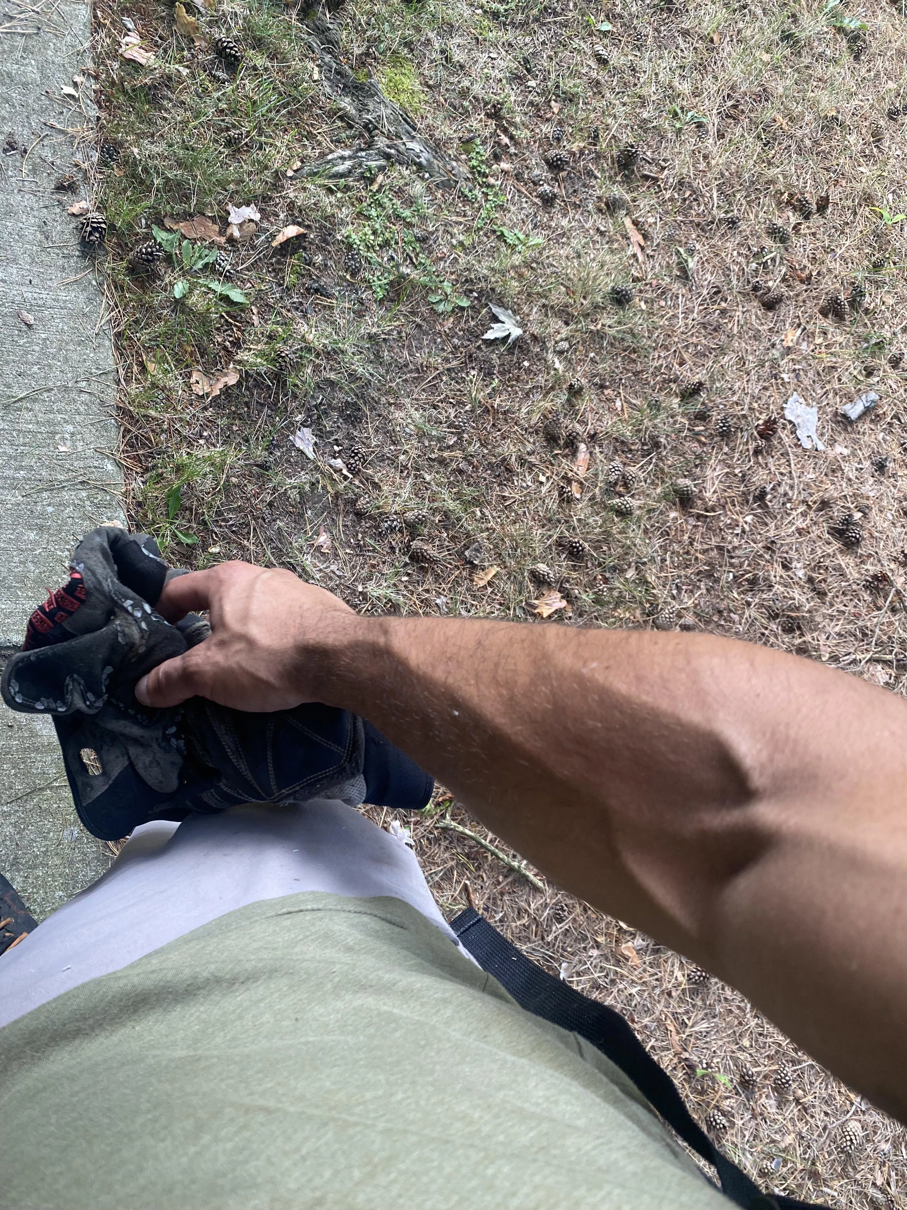 Check out those pinecones 🙃