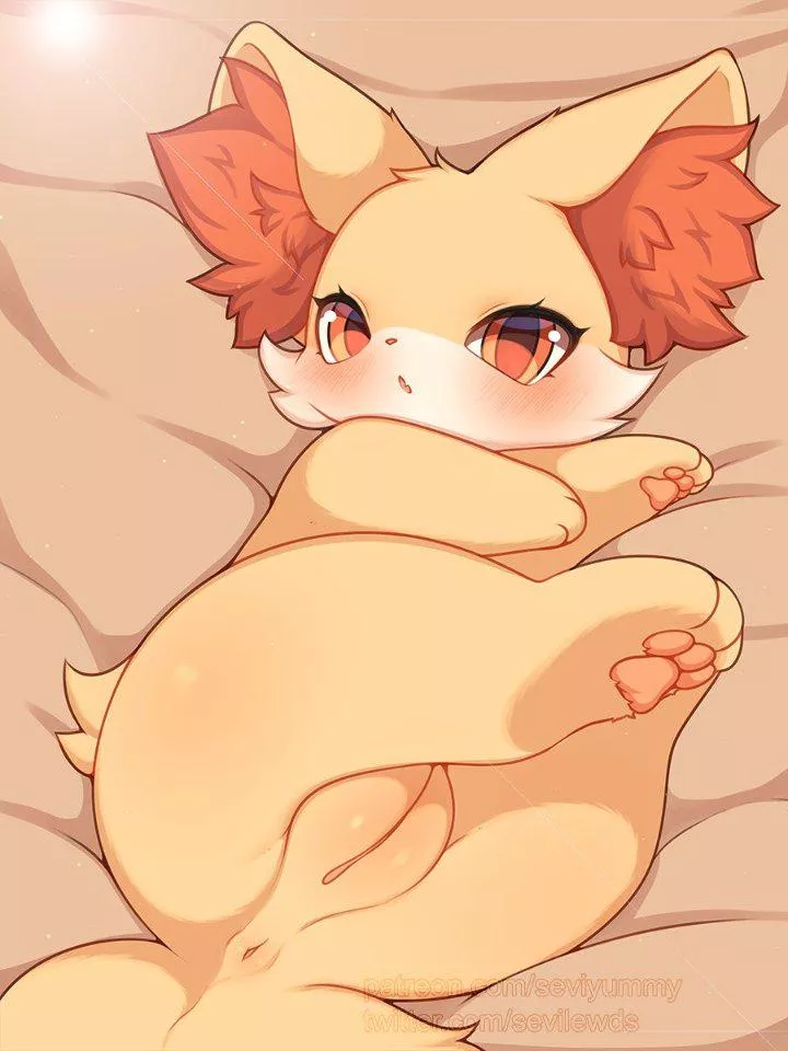 Cute little fennekin! (seviyummy) [F] 