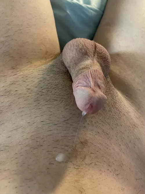 Has your precum ever shot out like this? (This pic is from the first time I used a prostate vibrator) [23]