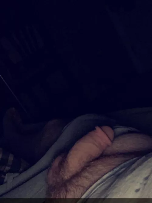 It likes to lay around