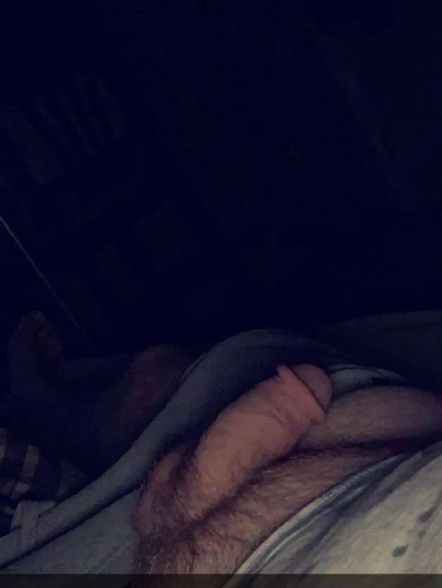 It likes to lay around