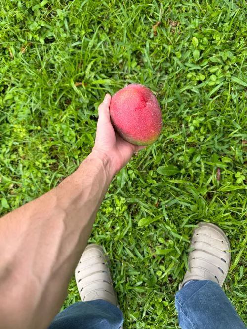Mmm mangoes, nice and juicy