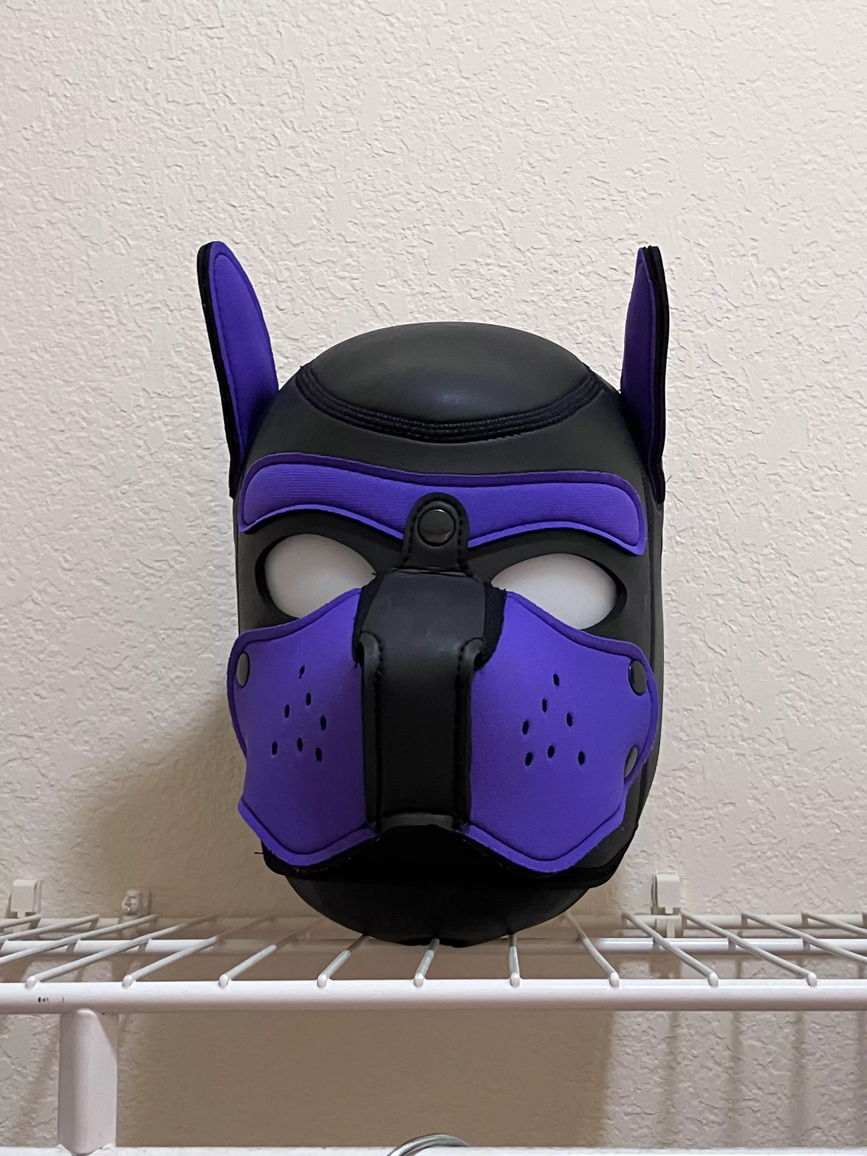 Pup’s in the closet