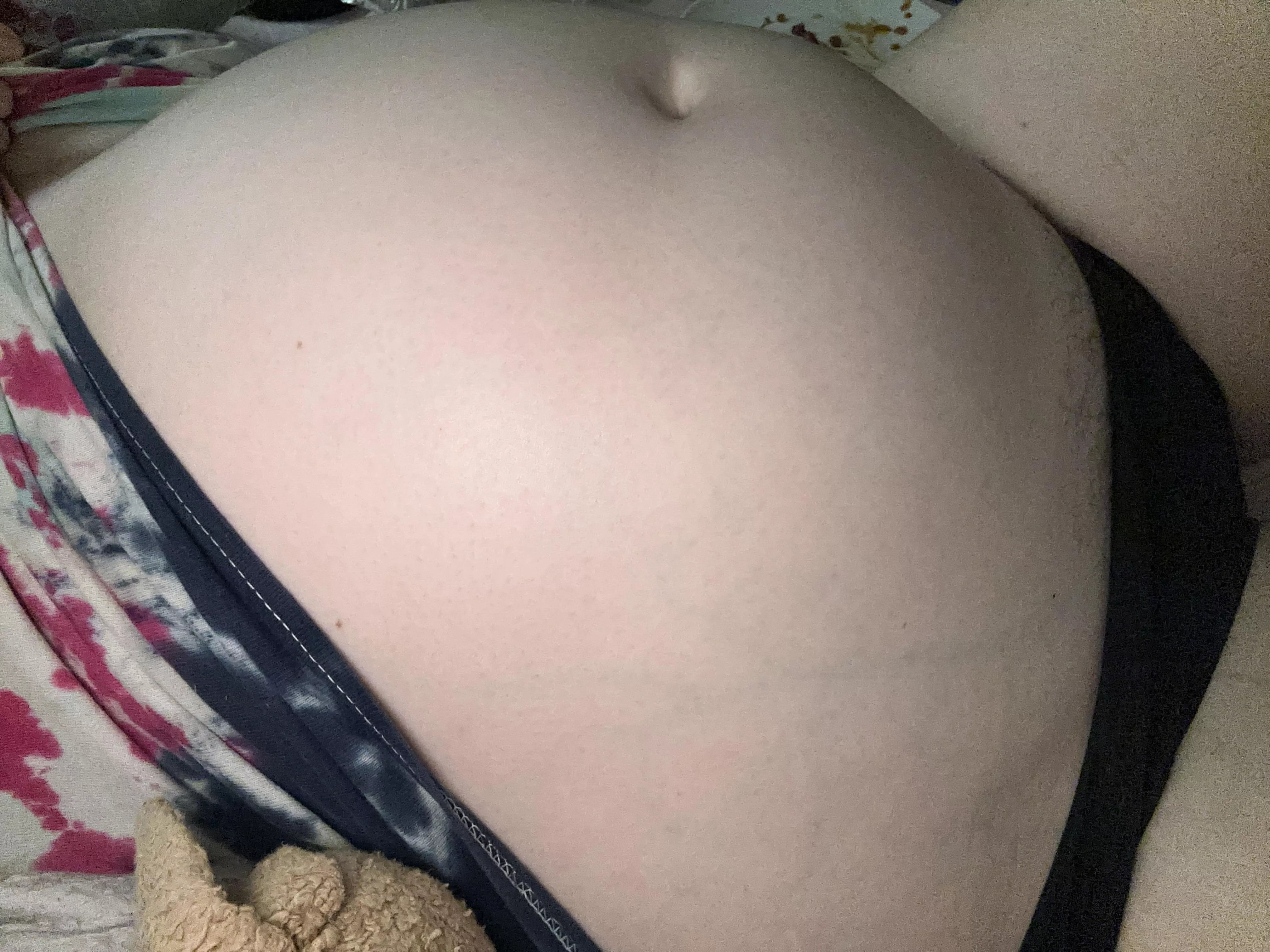 stuffed pig. do you want to tease me?