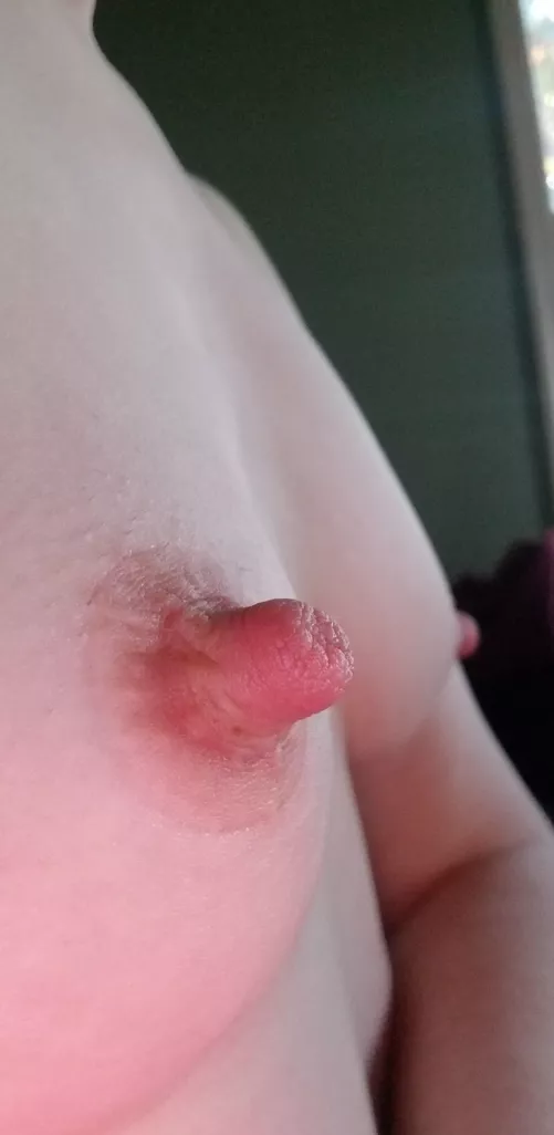 Closeup! How big can my pumped nipples get??