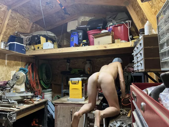 Entering a shed and seeing this. What will you be doing?