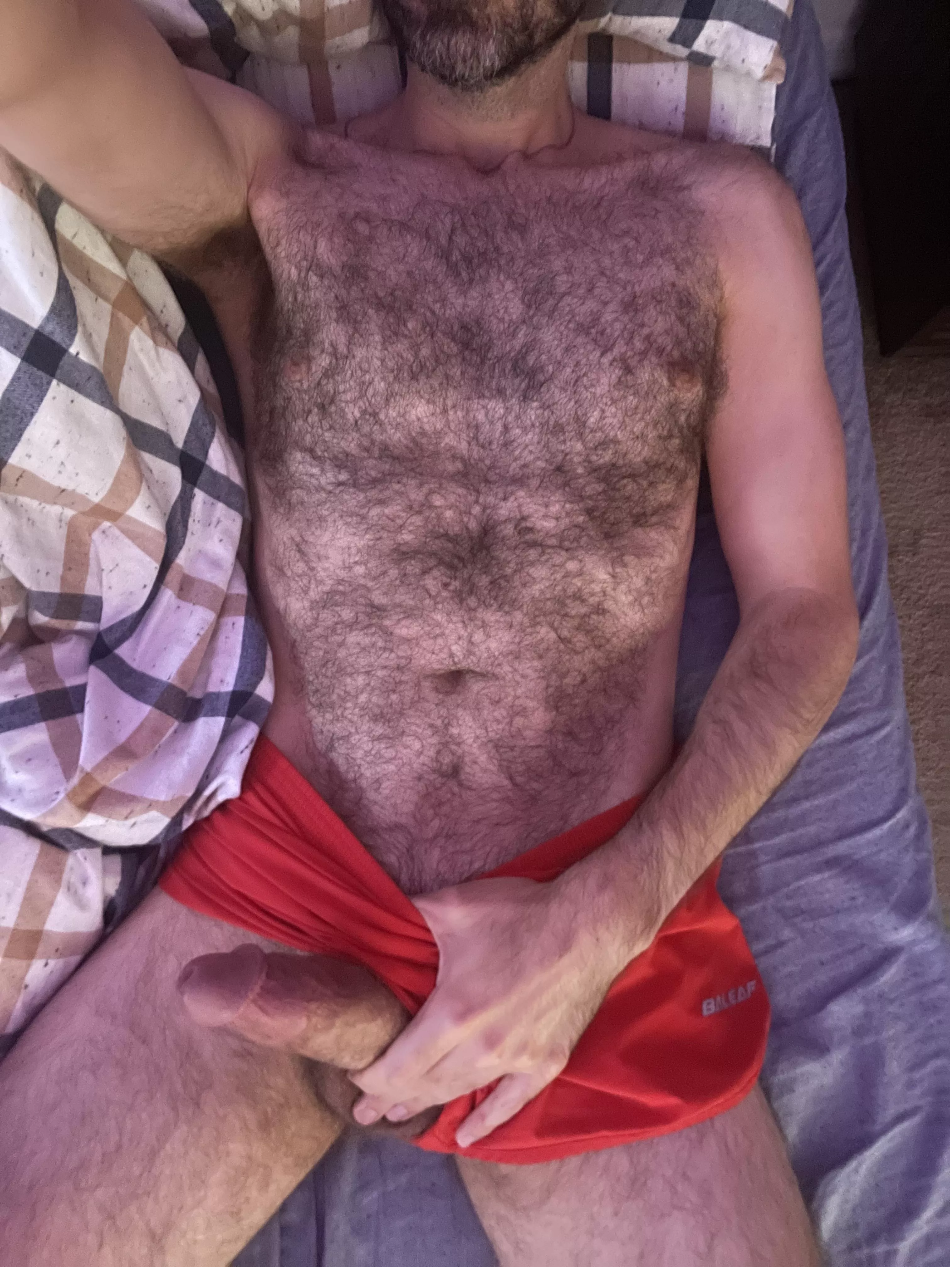 Hairy Horny Hard