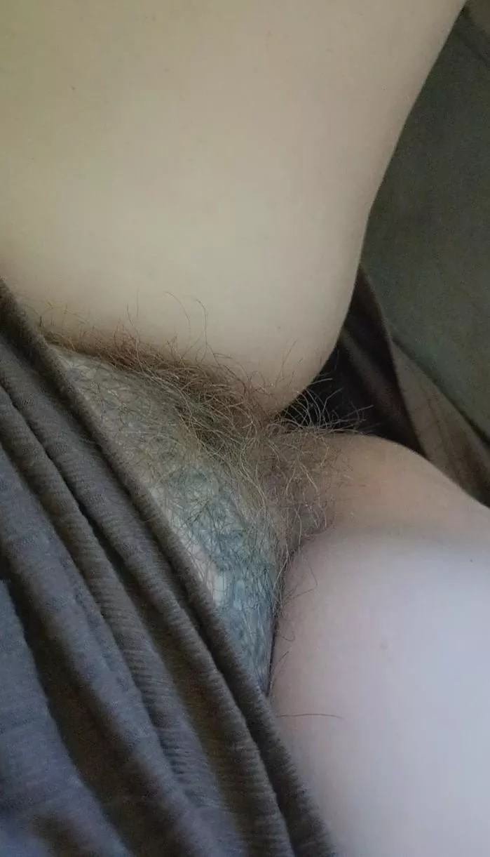 I have the perfect lunch all ready for you 