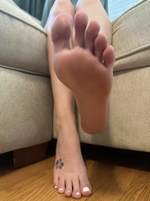 I hope you're on all fours