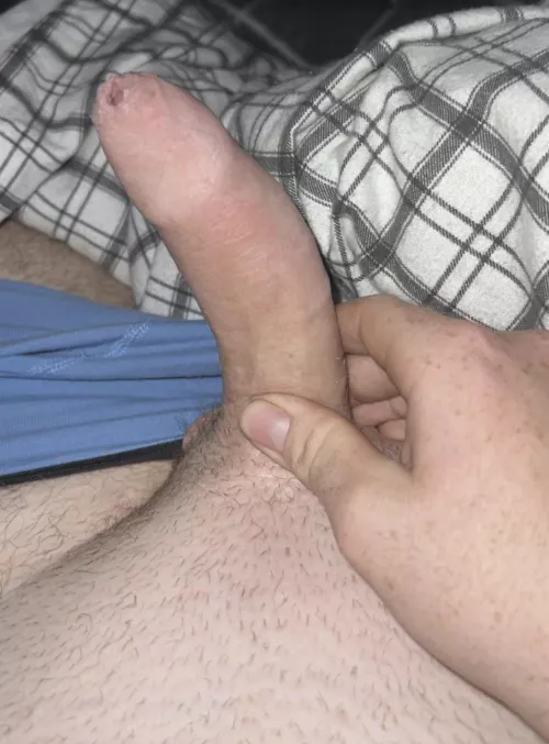I want you opinions on my dick