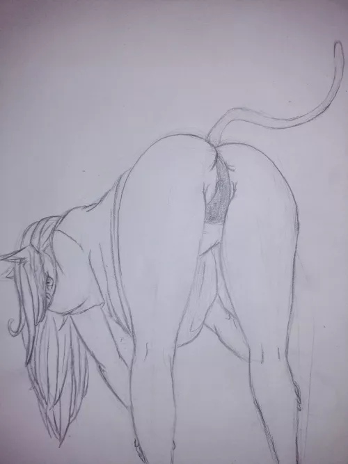 Kitten Doing Her Stretches 