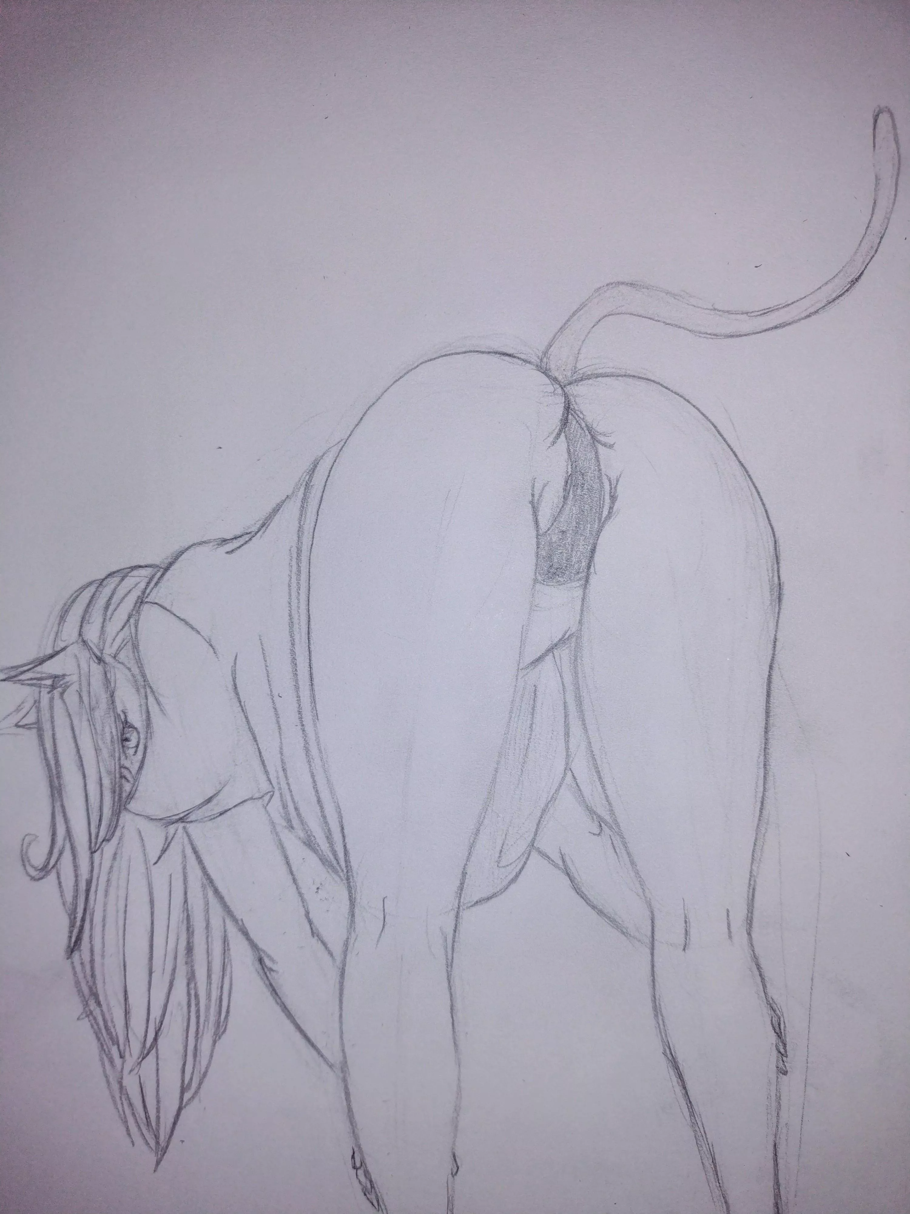 Kitten Doing Her Stretches 