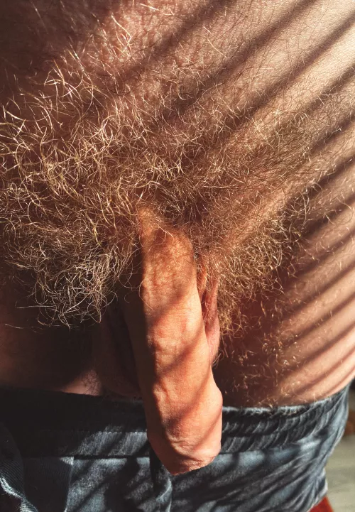 My wild bush is getting out of control!