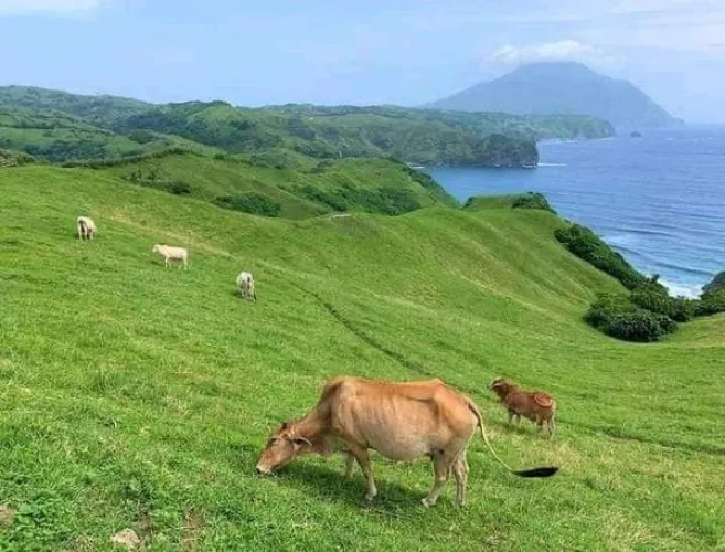 refresh and restart @batanesphilippines