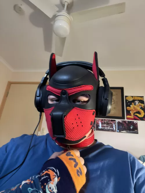 woof, time for games