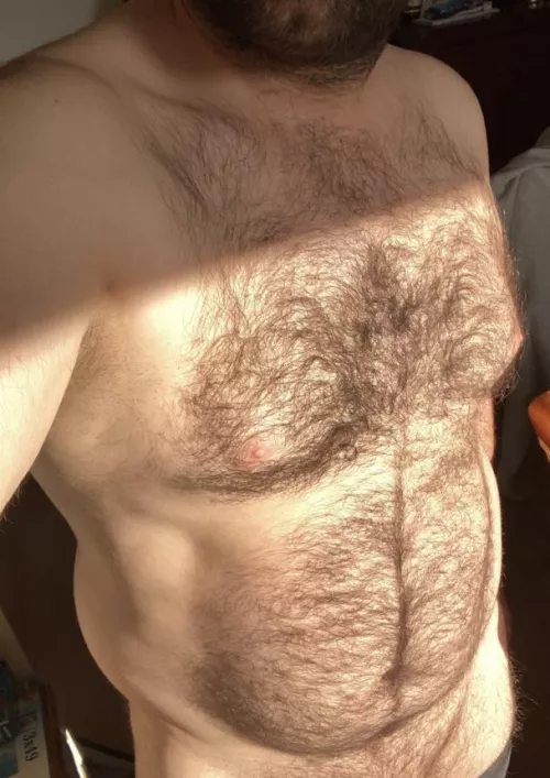 38y old dadbod