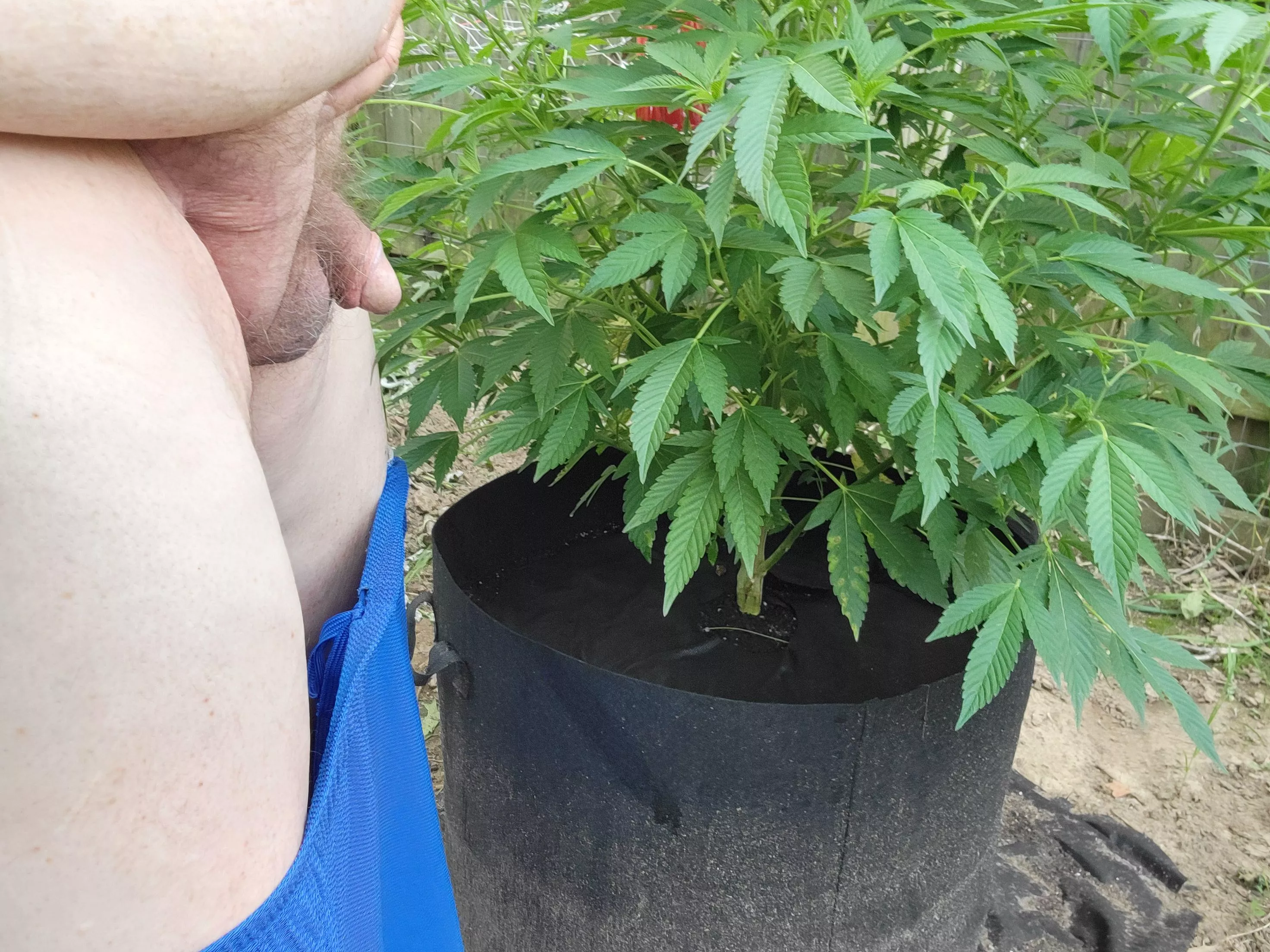 (M) 63, small cock but grow great weed