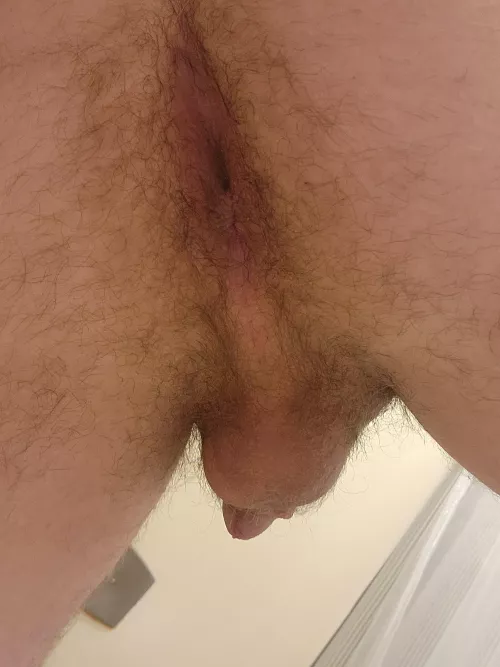 Need a Master to obey that doesn't mind some hair😣