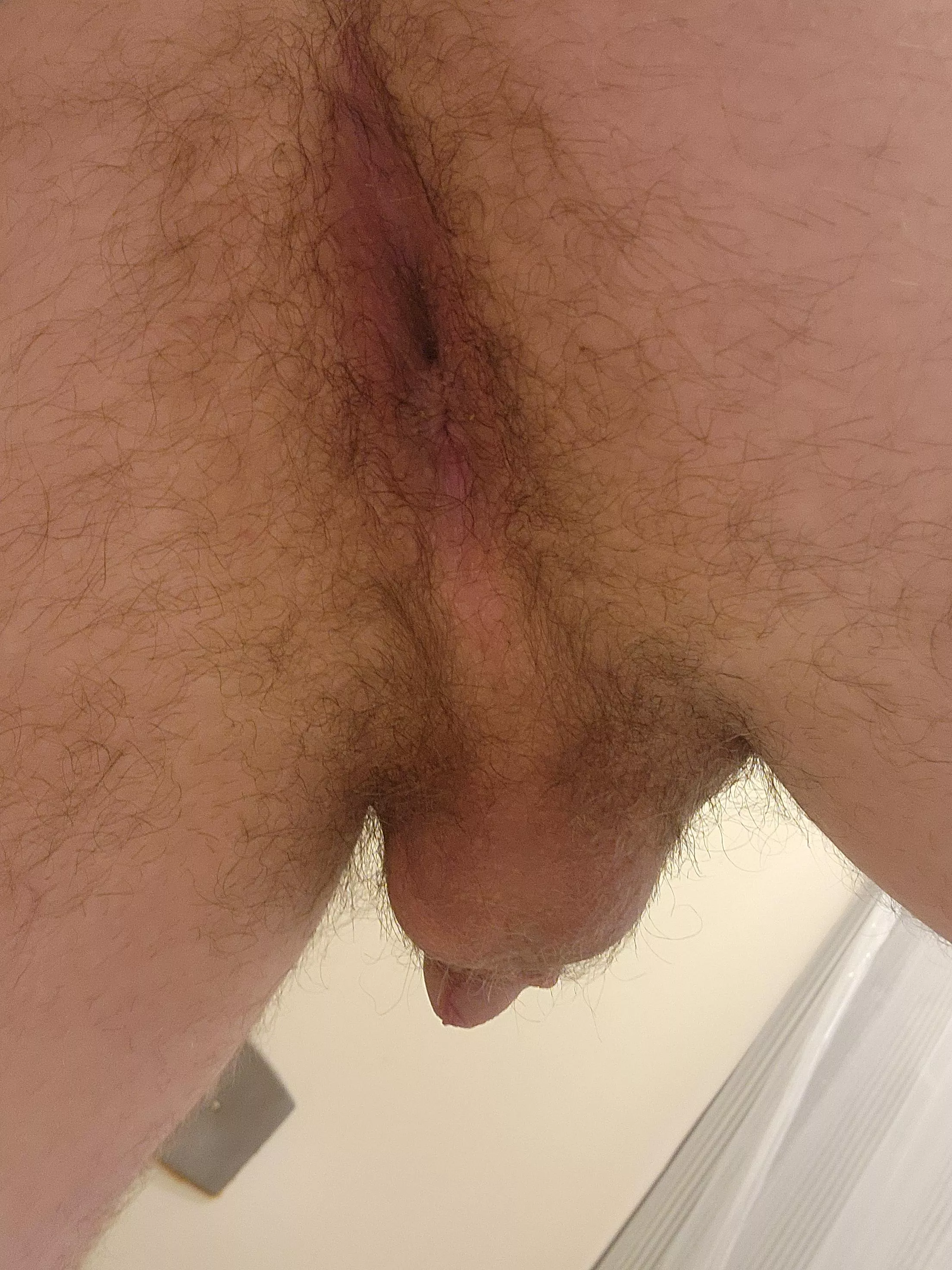 Need a Master to obey that doesn't mind some hair😣