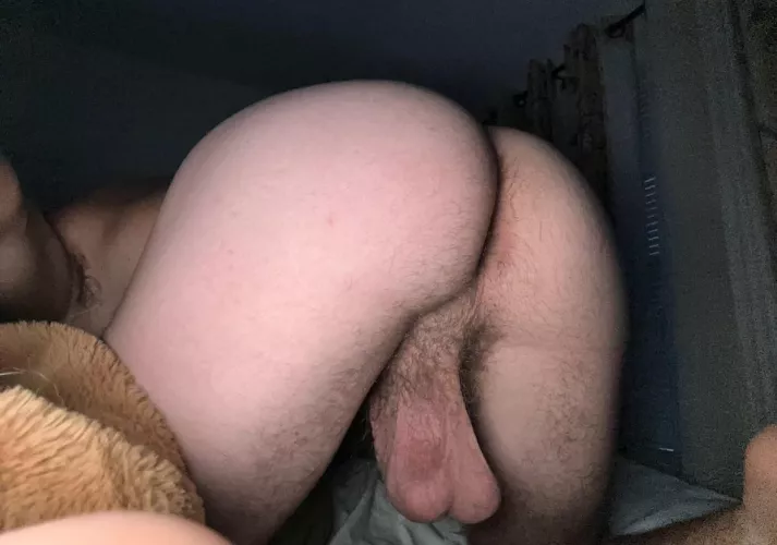 Smash or pass this ass 