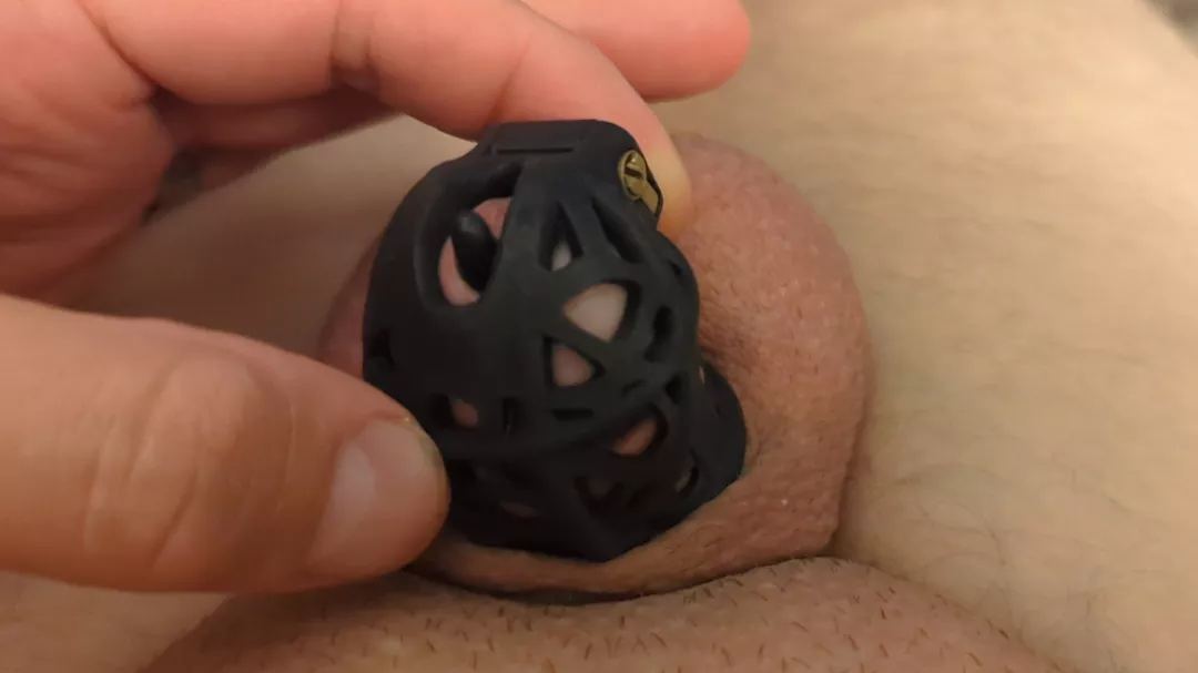 Being pierced makes chastity so much more comfortable.