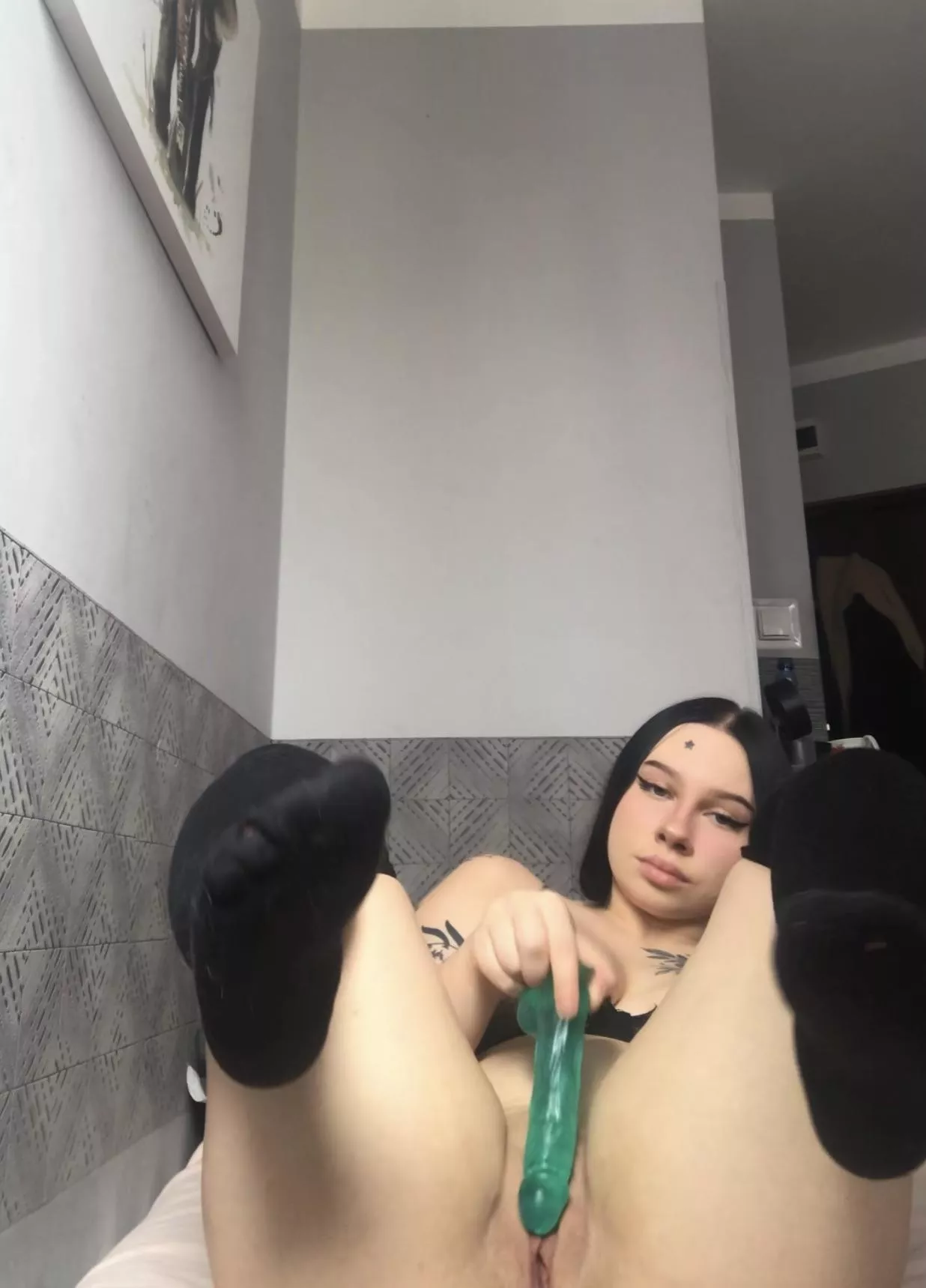 He'll be happy to catch your carrot 