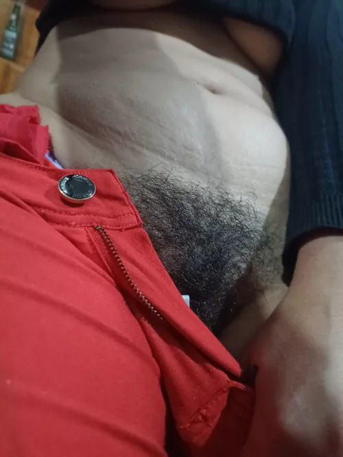 I have a thick bush, come and trim it with your teeth