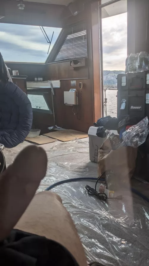 Morning wood on the boat 