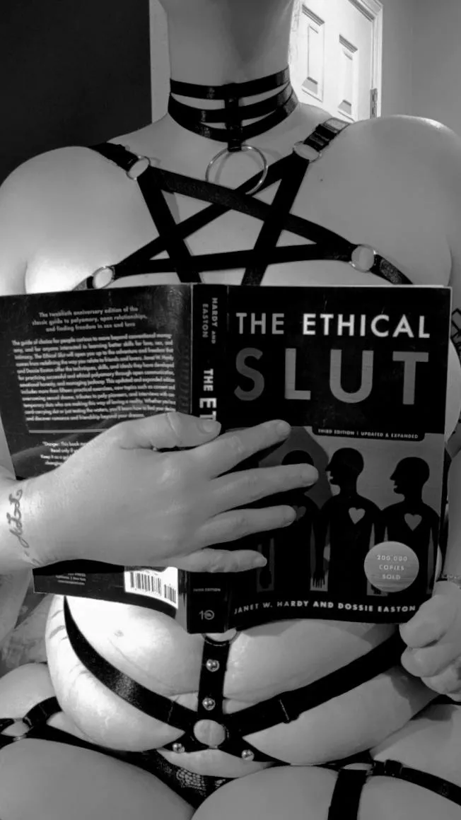 Books and harnesses 💜