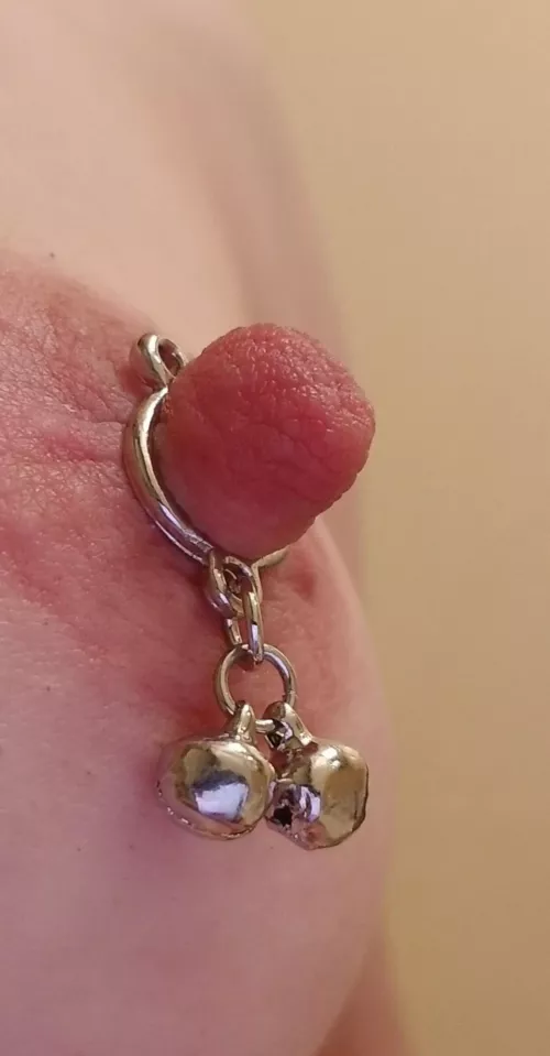 Jingle bell jewelry super close up long nipple
