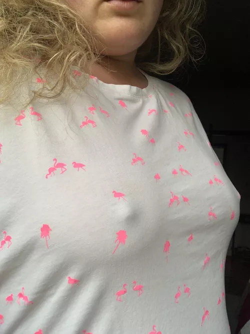 Mind the flamingo bite